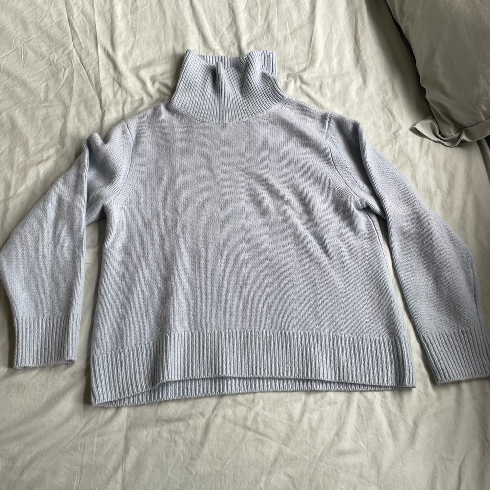 Zara Turtleneck Sweater
